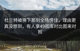 杜兰特被换下那刻全场愣住，理由更真没想到，有人拿49图库对比图来对照