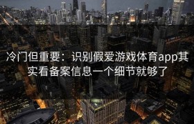 冷门但重要：识别假爱游戏体育app其实看备案信息一个细节就够了