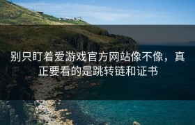 别只盯着爱游戏官方网站像不像，真正要看的是跳转链和证书